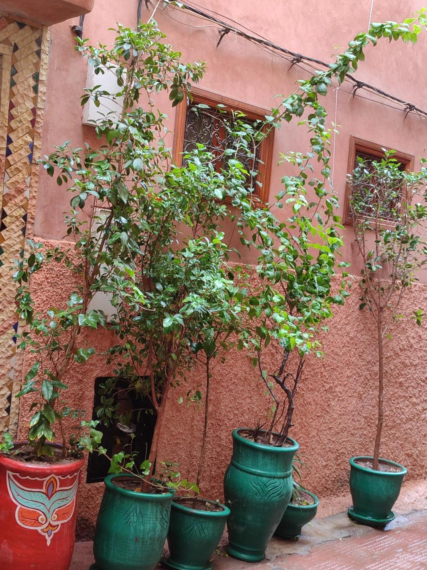 Riad Zahri Марракеш Экстерьер фото